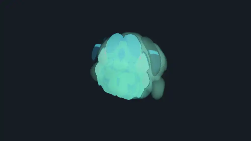 Allen Mouse Brain volume rendered by Datoviz